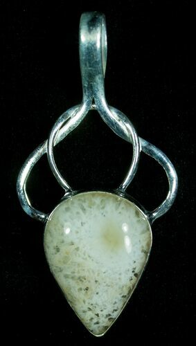 Fossil Coral Pendant #6016